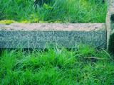 image of grave number 622534